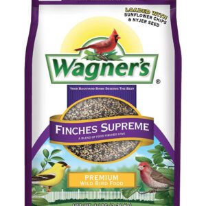 Wagner's new