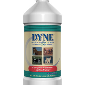 Dyne