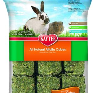 Rabbit Food