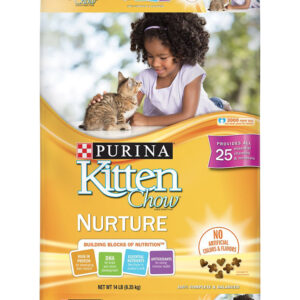 kitten