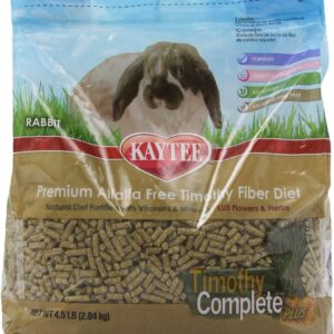 Rabbit Food