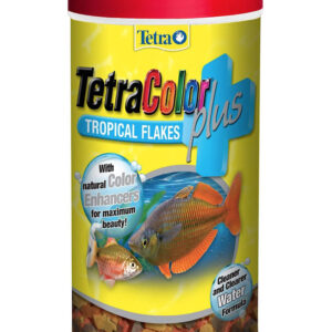 Fish Food