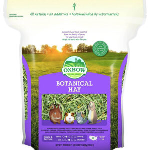 Hamster